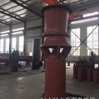上泵（天津）厂家 潜水轴流泵