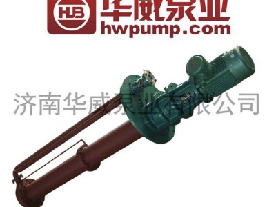 高温熔盐轴流泵 大流量 温度540℃ GY华威熔盐泵