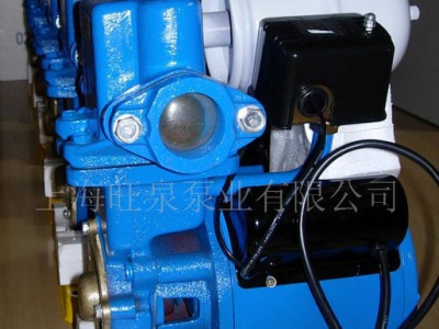 8上海旺泉家用增压泵、自吸泵图1