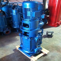 乐洋环保 贵阳自吸泵 立式单级离心泵 cdlf型不锈钢轻型立式多级离心泵