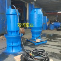 水泵，双河泵业600QZB-50 潜水大流量轴流泵