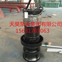 天昊350-1200QZB 轴流泵