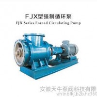 FJX型强制循环泵