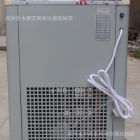 制冷泵 低温冷却液循环泵  DLSB-20-40低温槽