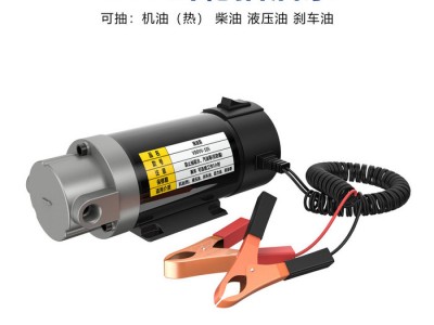 妮慕电动抽油泵小型12V24V220V伏柴油泵加油机正反抽油神器自吸泵