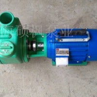 循环泵、往复泵40FZS-18塑料自吸泵/防腐泵/离心泵 化工泵