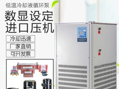 上海生产 低温冷却液循环泵 低温泵 低温恒温反应浴 槽 制冷泵配套玻璃反应釜