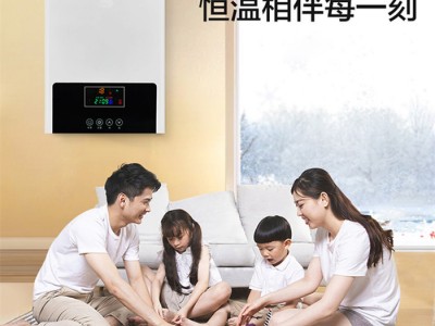 锐烨电采暖炉专用锅炉 电采暖炉专用循环泵 电采锅炉图1