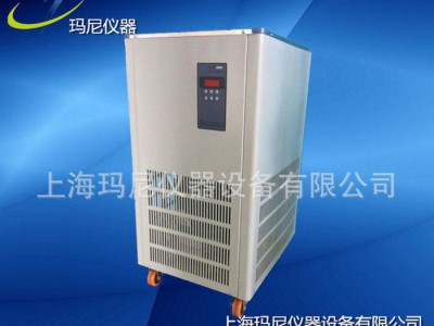生产低温冷却循环泵 循环泵DLSB-30L -40℃型 制冷