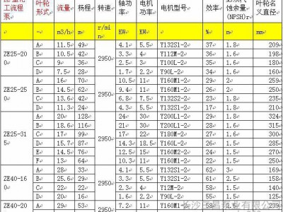 长沙水泵长沙三昌ZE150-500C型化工流程泵，客户**的化工泵图1