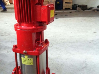 浙江羽洲（上海诚械）65GDL24-12*10 立式多级泵 立式多级消防泵离心泵消火栓泵喷淋泵给水泵消防给水设备稳压水泵