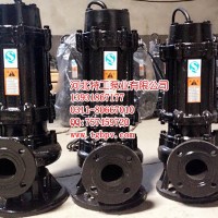 排污潜水泵 立式耐腐蚀泵200QW400-13-30