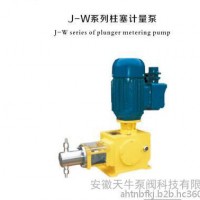 J-W系列柱塞计量泵