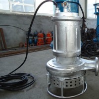 河南焦作瑞昱厂家CSQX耐腐蚀泵,耐酸碱淤渣泵