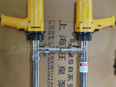上海旺泉牌SB耐腐蚀泵、提升泵、电动化工抽液泵图1