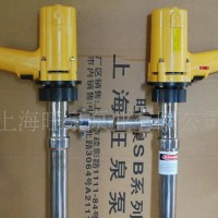 上海旺泉牌SB耐腐蚀泵、提升泵、电动化工抽液泵