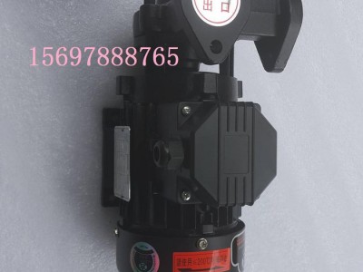 沃德TS-63 0.37KW高温油泵耐腐蚀泵