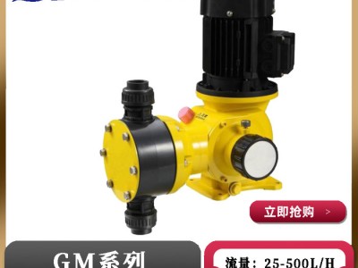 滨润GM0025机械隔膜式计量泵流量25-500L/H用于制药化工水处理等