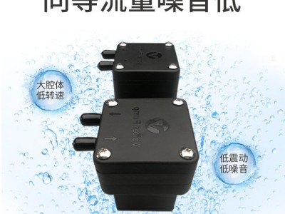 大流量版微型气泵VAP3000N1 和活塞泵吸力相近的低噪音水气两用碧波庭美容负压泵