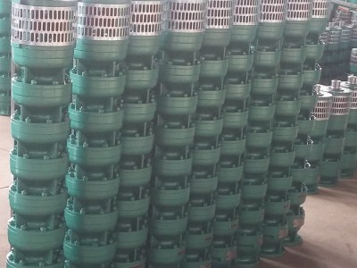 抽水泵抽油泵换水泵不锈钢潜水泵饮料灌装厂家图1