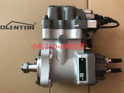 Komatsu300-8柴油泵图1