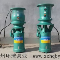 离心泵 喷泉泵  潜水泵 多规格型号水泵徐州环球泵业**
