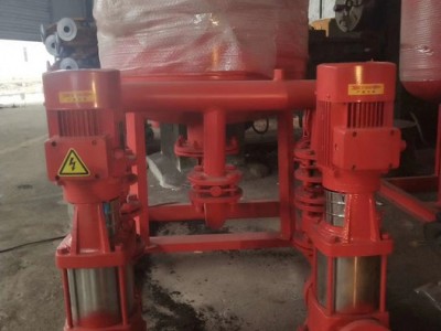 上海丙洋泵业制造有限公司XBD16.0/15G-GDL 多级离心泵