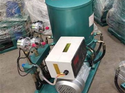 生物质颗粒机油泵 560型颗粒机润滑泵注油泵