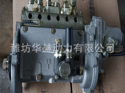 潍坊潍柴R4105 ZH4105柴油发动机高压油泵 产地货源直销