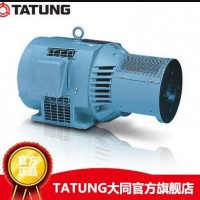 台湾大同电机TATUNG 射出机马达 油泵电机 大同电动机 油压马达