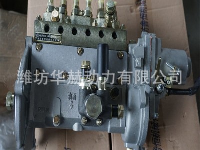潍坊潍柴里卡多系列R4105 ZH4105柴油发动机高压油泵