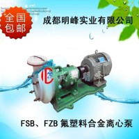 厂家供应80FSB（FZB）-20L型衬氟耐腐蚀耐酸氟塑料增强合金离心泵 氟泵