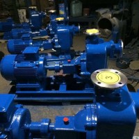 恒泉ZW50-10-20型化工排污泵  卧式离心泵