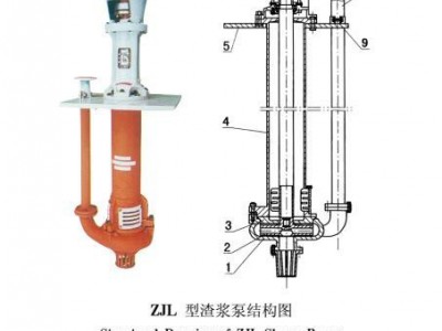 河北德林 40（L）DV 渣浆泵   液下泵