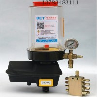 波尔特 EG型电动润滑油泵 润滑泵 自动润滑油泵 EG型电动油脂润滑油泵 黄油润滑油泵