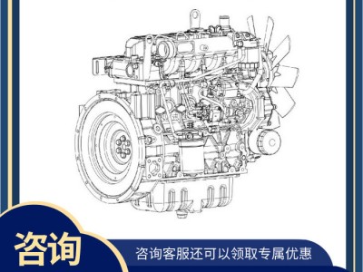 深圳工岩 4D24系列发动机 船用发动机喷油泵发动机