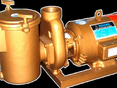 供应雷达牌BP5040过滤铜泵，水泵，离心泵，供水设备