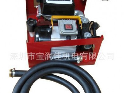12V 220V电动简易计量加油机油泵 电动油泵 油泵 电动