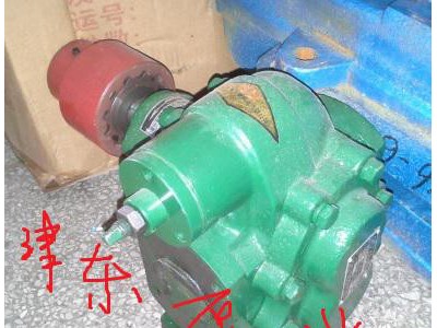 供应广州津东（远东泵业）齿轮油泵输油泵液压油泵