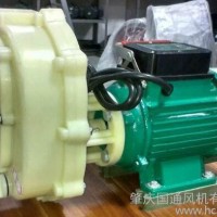 上海大福塑料耐腐蚀自吸水泵/耐酸耐碱塑料化工泵/离心泵220/380V
