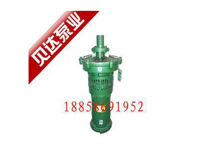 油封油泵,喷泉油泵,铸铁叶大小2.2KW整体油封充油式潜水油喷泉油图1
