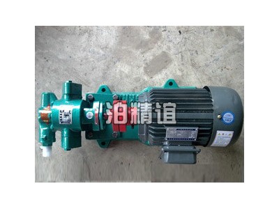 KCB83.3齿轮油泵，齿轮油泵批发商图1