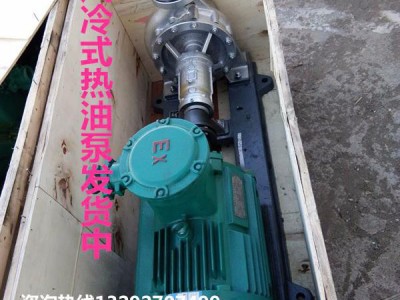 瑞悦RY50-32-250 石油泵图1