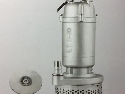 **  人民水泵 QDX10-16-0.75KW 304 不锈钢潜水电泵 潜水泵 QDX小型潜水泵  潜水泵
