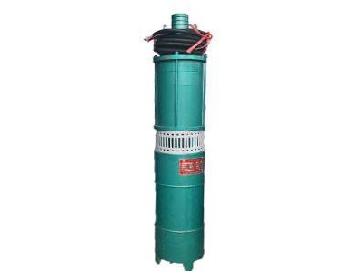 天鹅泵业潜水泵 QS(B)系列潜水泵 潜水电泵 专业定制 品质保障
