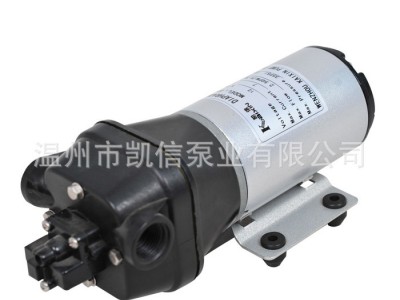 热卖推广微型隔膜泵DP-35高压隔膜泵 高压隔膜微型直流潜水泵