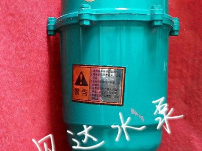 家用小型潜水泵,小型潜水泵,家用潜水泵,55kw潜水泵,55kw家用潜水