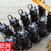 重庆潜水泵 安徽潜水泵 环球潜水泵 简单新