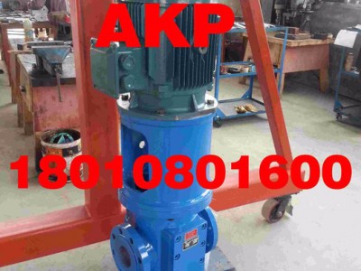 AKP-HSNS940-46N 螺杆泵球磨机稀油泵站润滑油泵图1