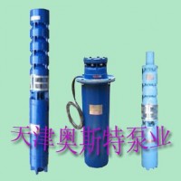 天津潜水泵  热水潜水泵 不锈钢潜水泵